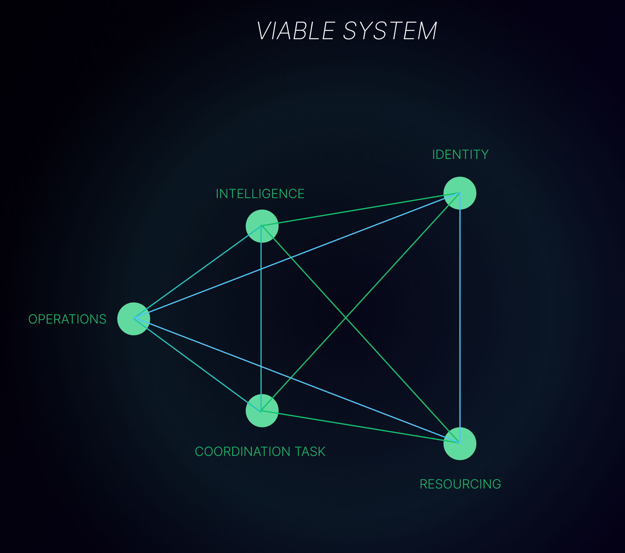 Viable Systems Model